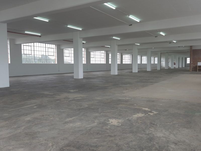 Expansive open-plan industrial warehouse space featuring high ceilings, abundant natural light through steel-framed windows, concrete flooring, and a dedicated utility sink area.