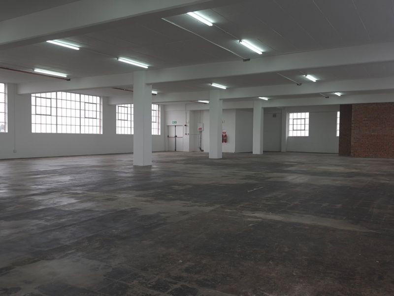 Spacious open-plan industrial warehouse area featuring large steel-framed windows, exposed brickwork, and durable concrete flooring, suitable for various commercial or creative uses.