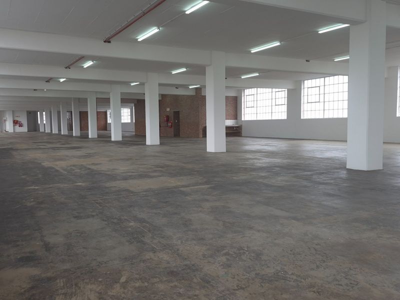 Expansive industrial warehouse space featuring high ceilings, large windows for natural light, exposed structural columns, and durable concrete flooring.
