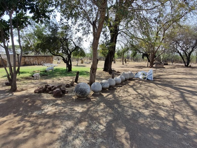A spacious, natural garden area featuring mature trees, a stone boundary wall, and an expansive dirt and grass landscape.
