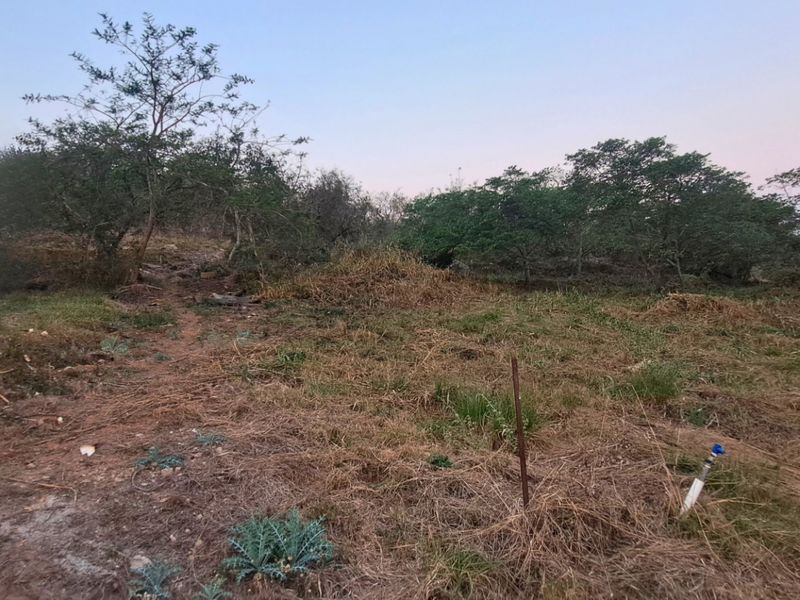A view of the vacant residential land featuring natural vegetation, mature trees, and an existing water connection point on the property.