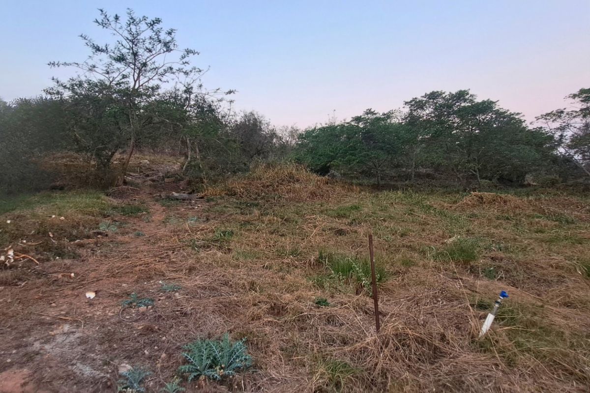 A view of the vacant residential land featuring natural vegetation, mature trees, and an existing water connection point on the property.