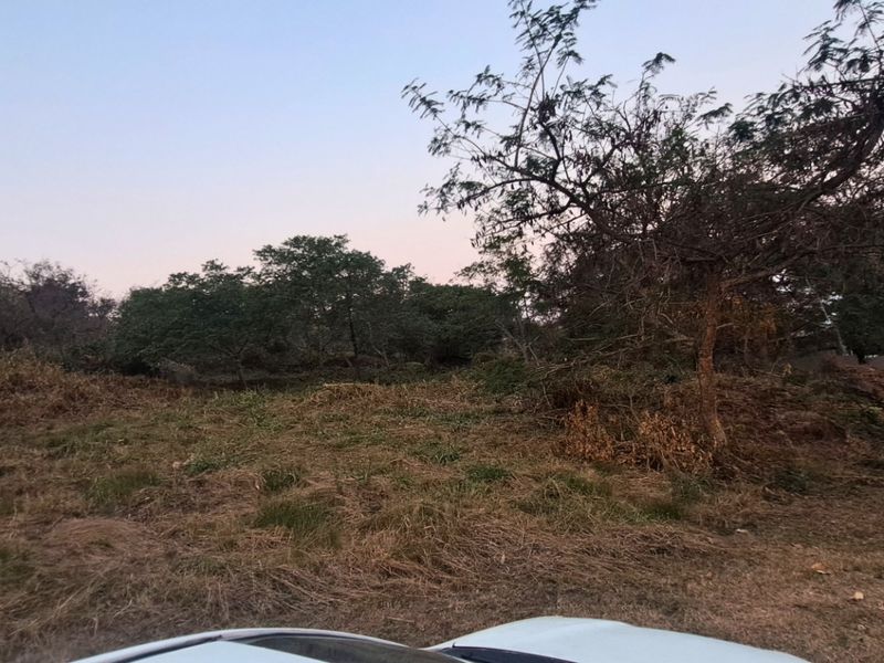 A view of a vacant residential plot featuring natural vegetation, mature trees, and street-side access.