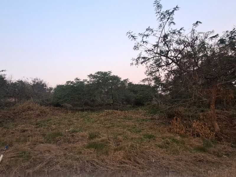 A view of a vacant residential plot featuring natural vegetation and mature trees, suitable for future development.