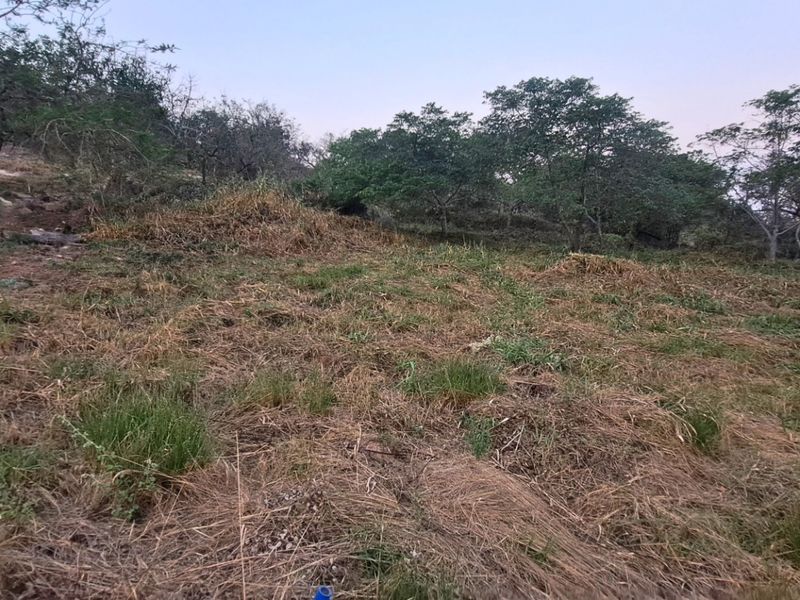 A view of a vacant residential plot featuring natural vegetation, uneven terrain, and a partial retaining wall along the boundary.