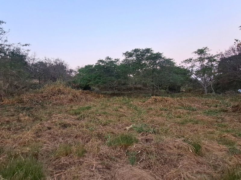 A view of the vacant residential land featuring natural vegetation and mature trees across the property grounds.