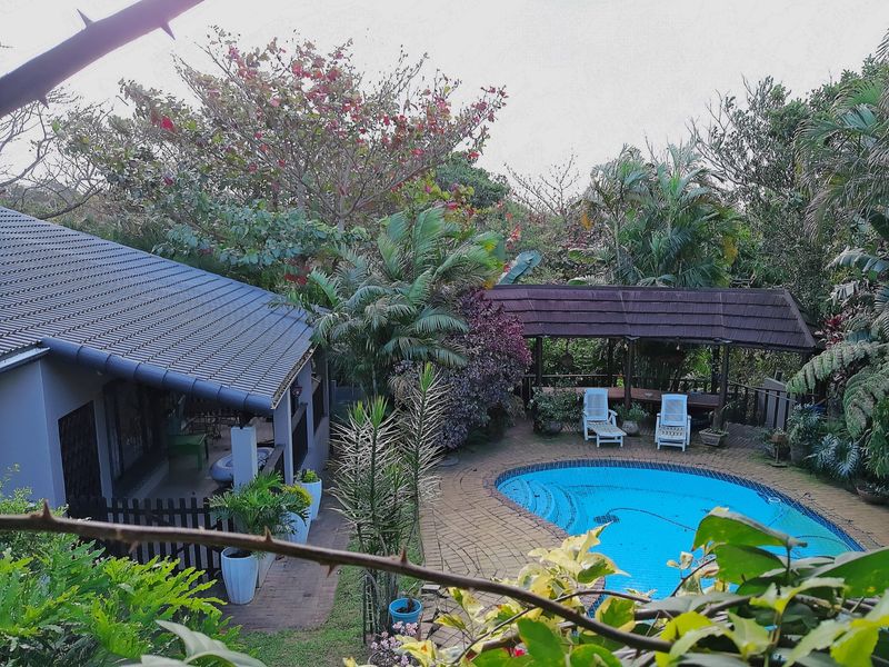 A private outdoor pool area featuring a paved surround, a covered patio, and a thatched gazebo set within a lush, landscaped garden.