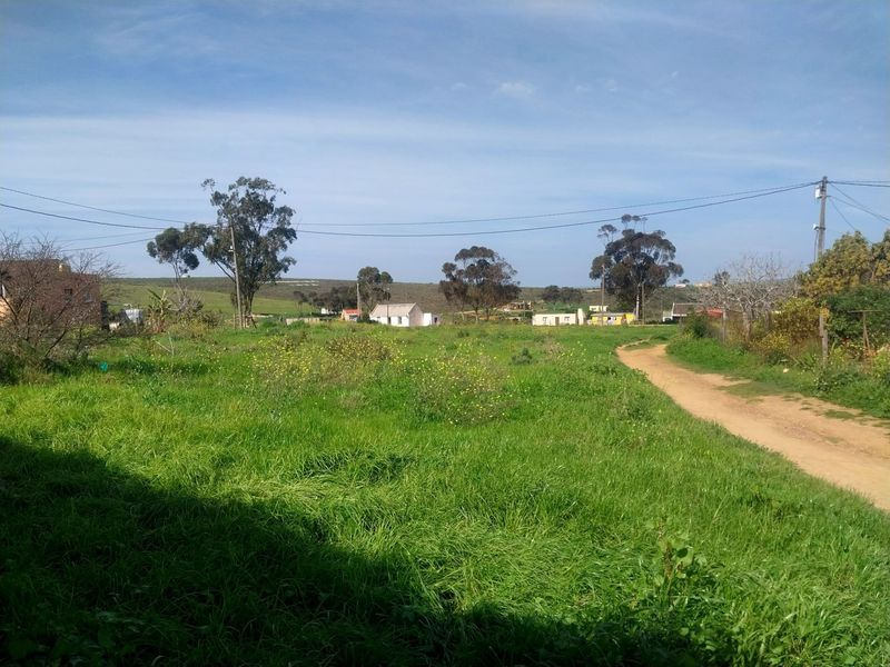 A view of a vacant residential plot featuring a dirt access road, open grassland, and overhead power lines with distant neighboring structures.