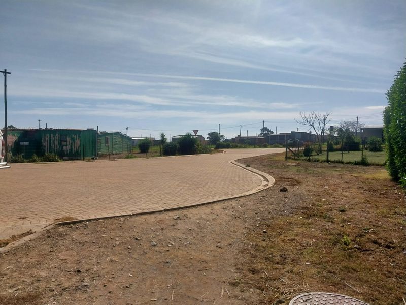 A view of a paved residential street and driveway area within a neighborhood setting.