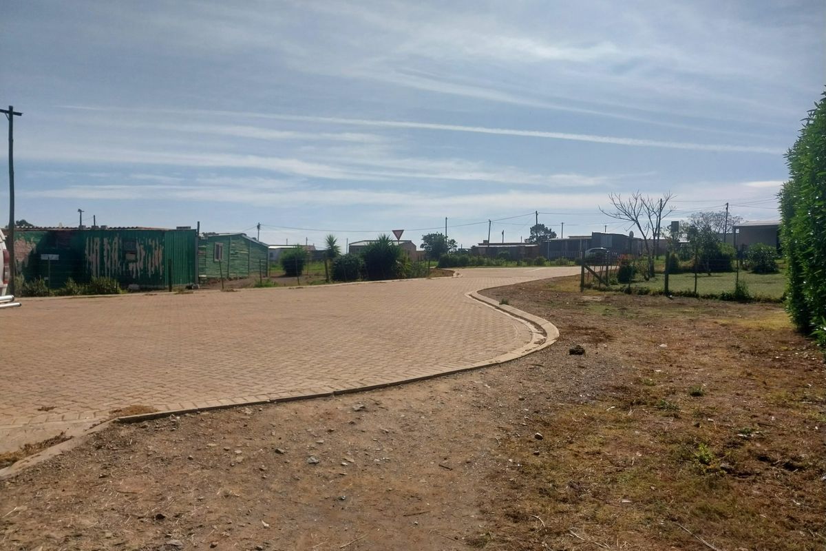 A view of a paved residential street and driveway area within a neighborhood setting.