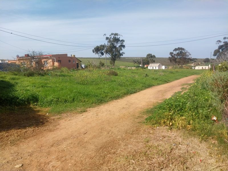 A view of a vacant residential plot featuring a dirt access road, surrounding grassland, and overhead power lines.