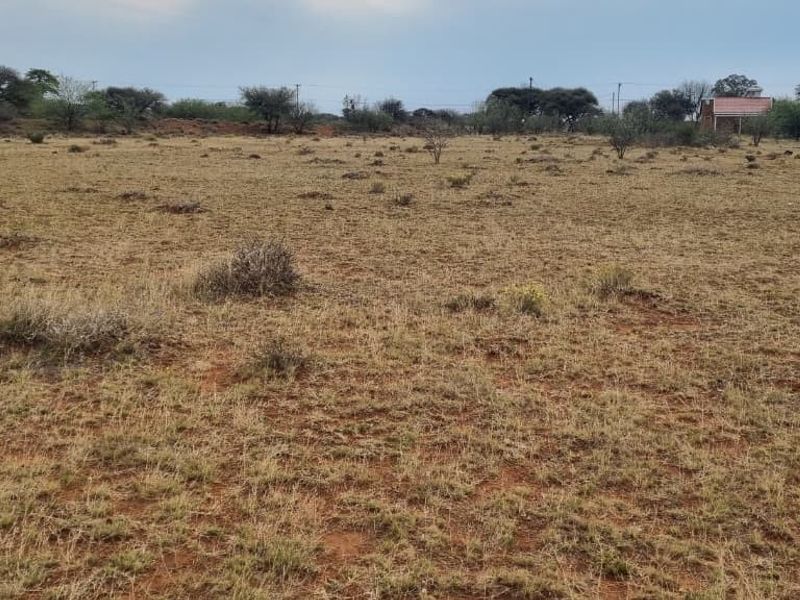 A wide-angle view of a vacant residential plot featuring natural grass cover and scattered indigenous trees.