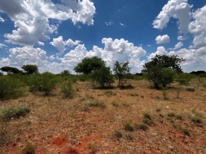 A view of the vacant residential land featuring natural vegetation and open terrain under a bright blue sky.