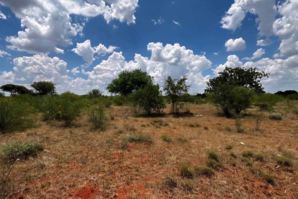 A view of the vacant residential land featuring natural vegetation and open terrain under a bright blue sky.