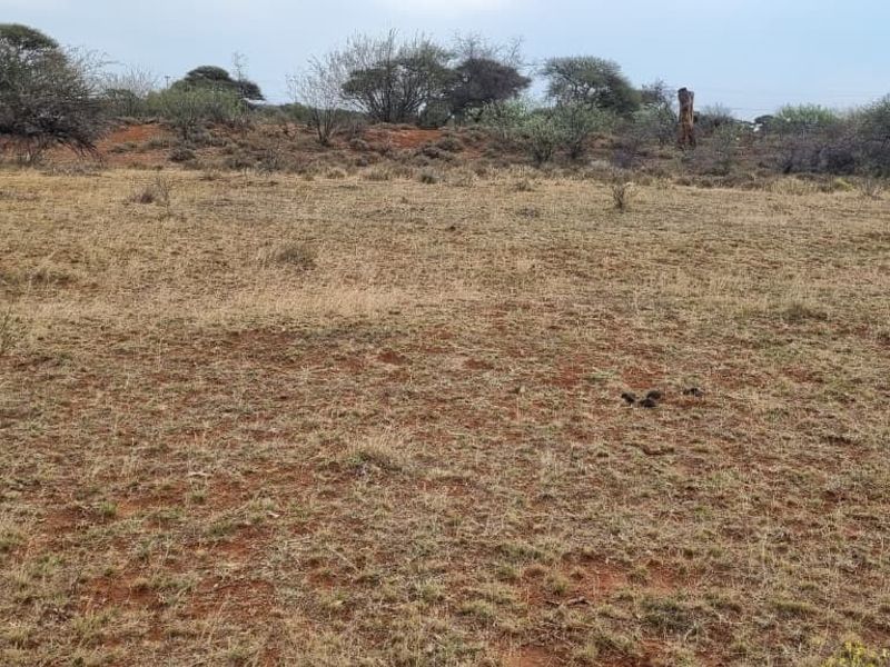A view of an undeveloped residential plot featuring natural vegetation and open terrain.
