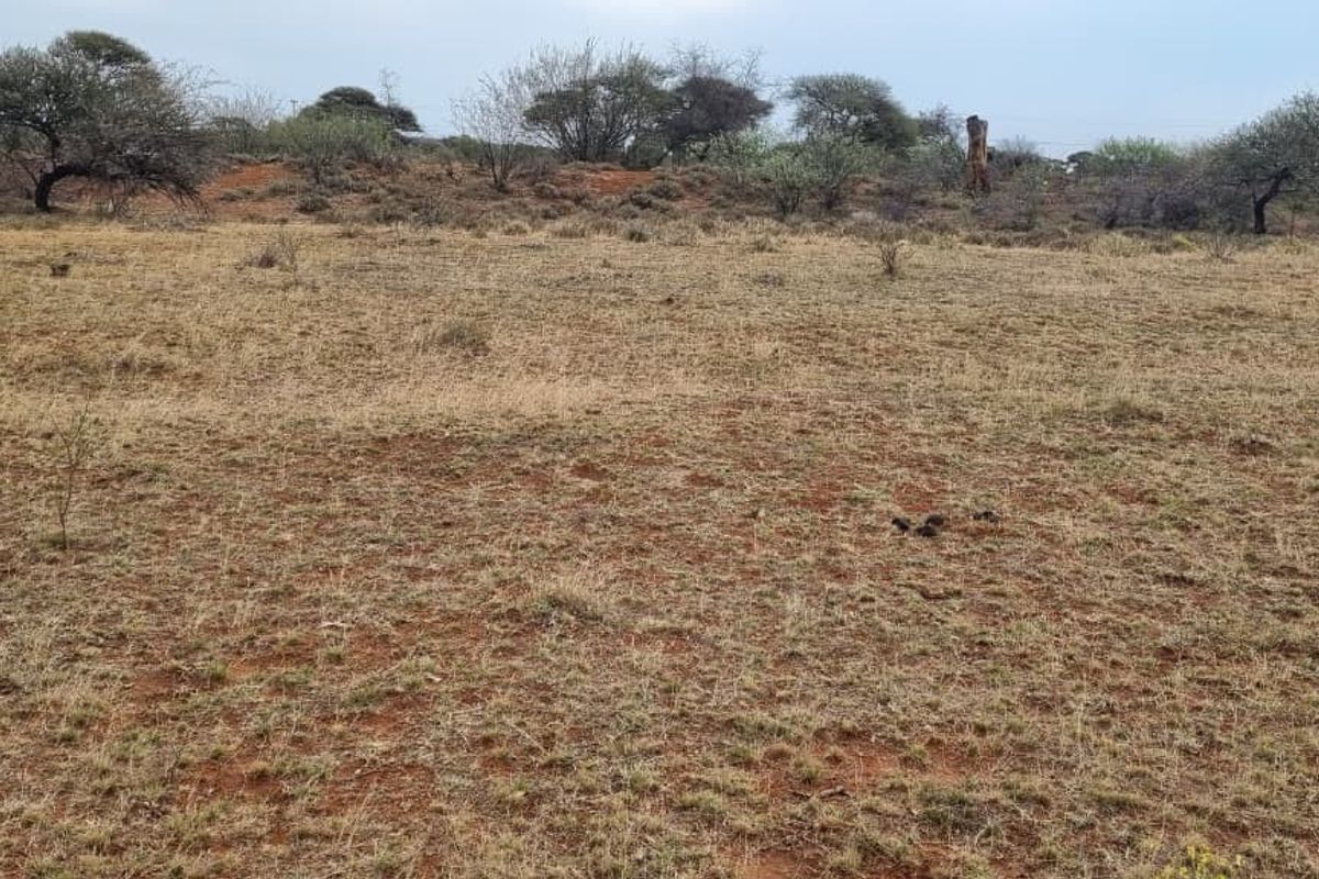 A view of an undeveloped residential plot featuring natural vegetation and open terrain.