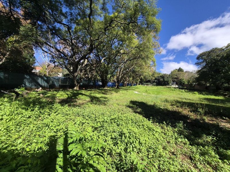 A large, undeveloped plot of land featuring mature trees and perimeter fencing, currently covered in overgrown vegetation.