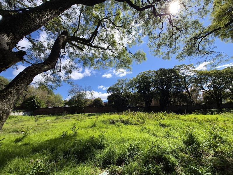 A large, undeveloped plot of land featuring mature trees and a perimeter brick wall, currently covered in overgrown grass and vegetation.