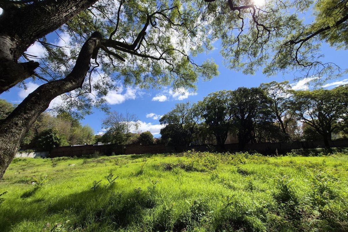 A large, undeveloped plot of land featuring mature trees and a perimeter brick wall, currently covered in overgrown grass and vegetation.