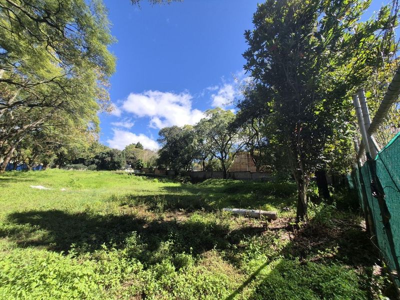 A large, undeveloped plot of land featuring mature trees, perimeter fencing, and natural vegetation, suitable for commercial development.