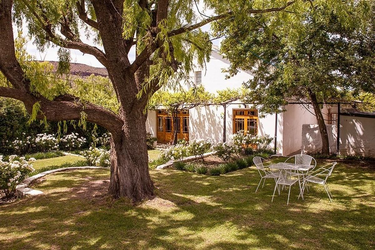 A charming rear garden featuring a lush lawn, mature trees, and a white-walled home with timber-framed glass doors and a vine-covered trellis.