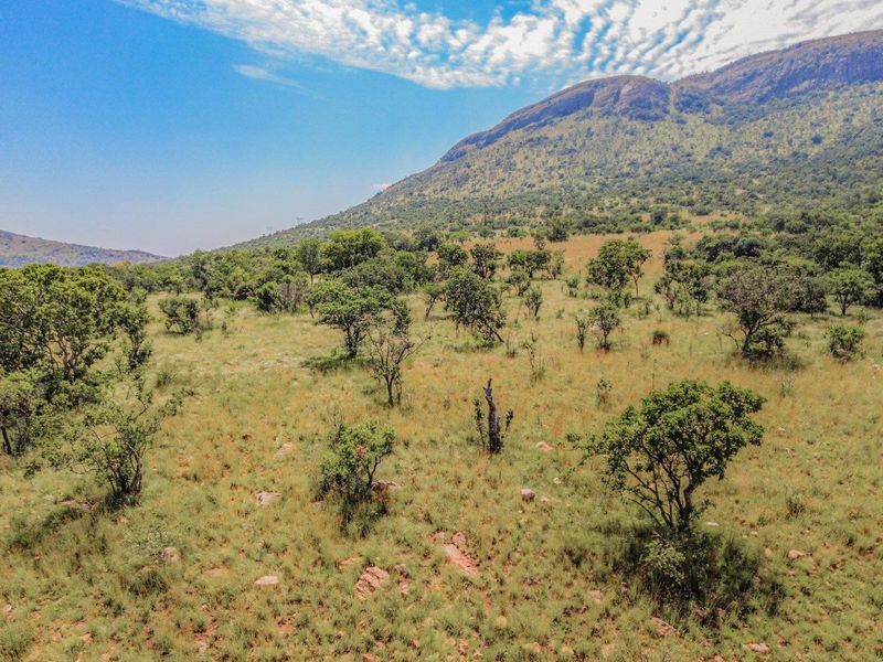 A scenic view of the vacant residential land featuring natural vegetation and mountain terrain.