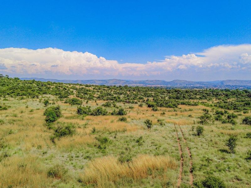 An aerial view of a large, undeveloped residential plot featuring natural grassland, scattered indigenous trees, and a dirt access track.
