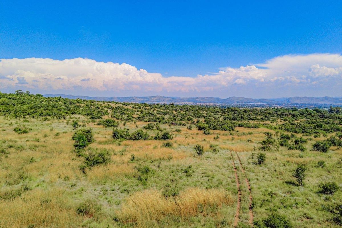 An aerial view of a large, undeveloped residential plot featuring natural grassland, scattered indigenous trees, and a dirt access track.