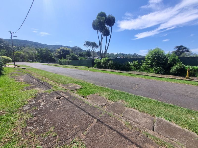 A view of the residential street showing the asphalt road, concrete sidewalk, and surrounding greenery under a clear sky.