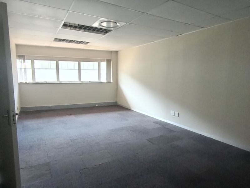 An empty office space featuring a suspended ceiling with recessed lighting, carpeted flooring, and large windows providing natural light.