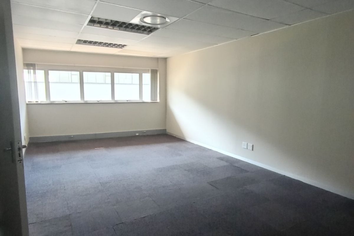An empty office space featuring a suspended ceiling with recessed lighting, carpeted flooring, and large windows providing natural light.