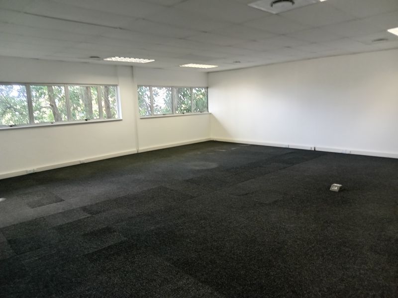 A spacious, empty office area featuring carpet tile flooring, recessed lighting, and large windows providing natural light.