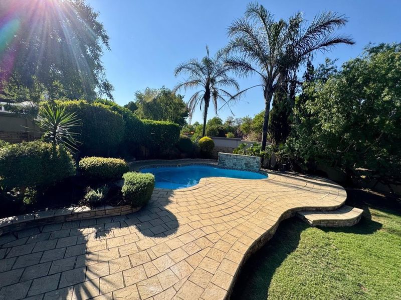 A well-maintained outdoor pool area featuring a curved stone-paved patio, landscaped garden, and established palm trees in a sunny backyard setting.