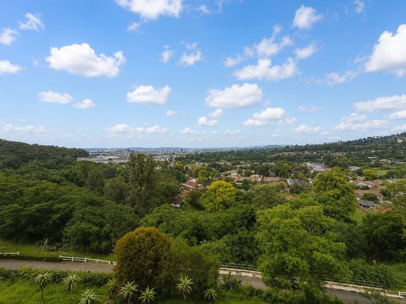 An elevated panoramic view overlooking a lush green suburban landscape with distant city buildings under a bright blue sky.