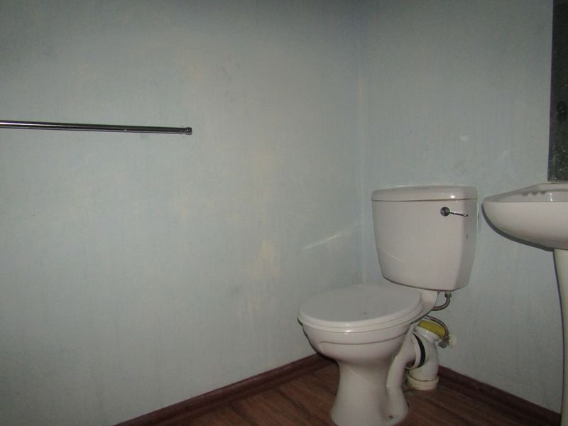 A compact bathroom featuring a standard toilet and pedestal basin, requiring cosmetic updates to the wall finishes and general maintenance.
