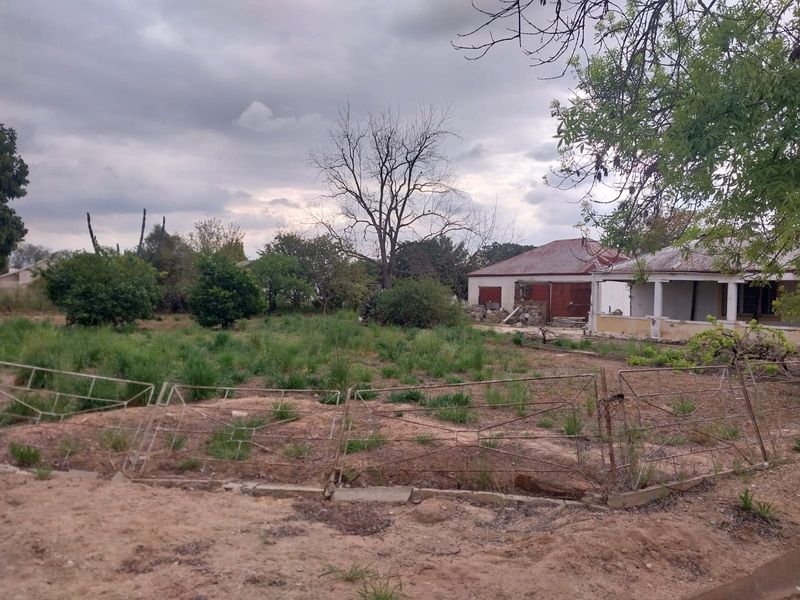 Rear view of a property featuring a house with a corrugated metal roof, a covered veranda, and a large, overgrown garden area.
