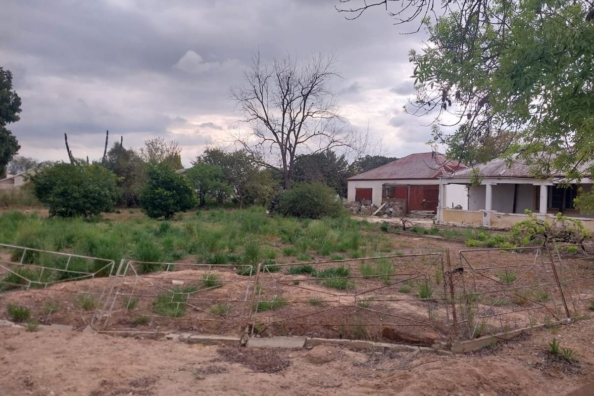 Rear view of a property featuring a house with a corrugated metal roof, a covered veranda, and a large, overgrown garden area.