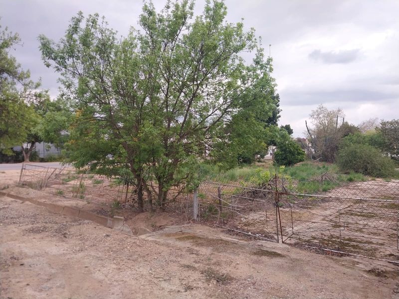 An undeveloped plot of land featuring a chain-link fence, metal gate, and a concrete drainage channel, surrounded by mature trees and overgrown vegetation.