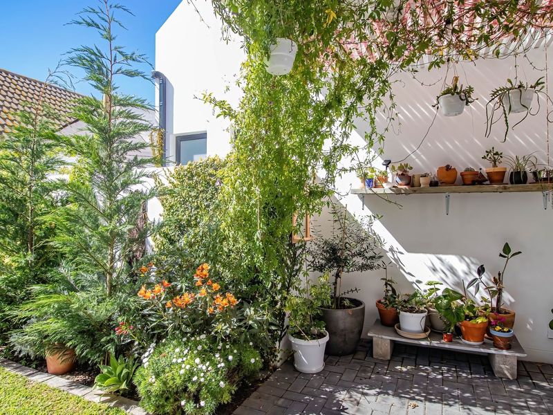 A charming, sunlit paved patio area featuring a pergola, wall-mounted shelving, and lush garden landscaping, perfect for outdoor relaxation.