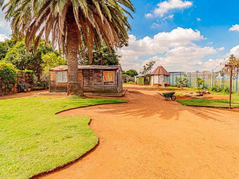 Spacious garden area featuring a mature palm tree, established lawn, and a timber outbuilding, enclosed by metal perimeter fencing.