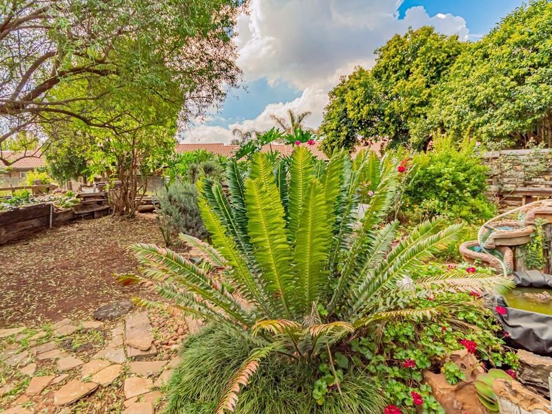 A lush, established garden featuring mature trees, a stone pathway, and a small water feature within a private small holding setting.