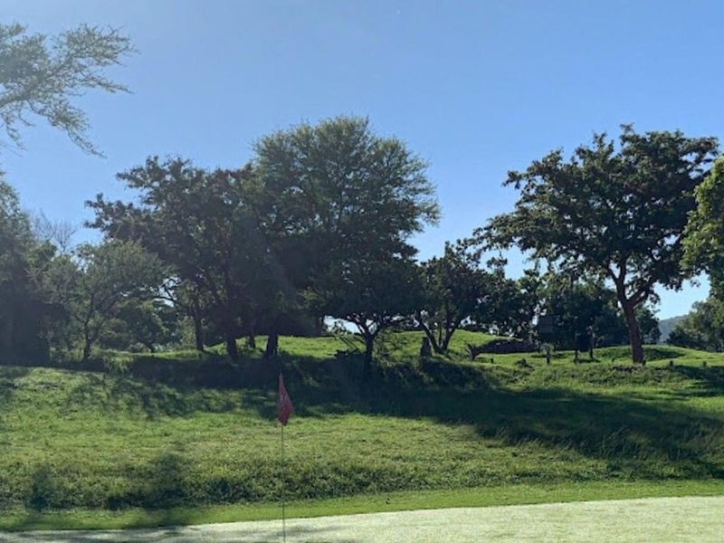 A scenic view of the vacant residential land featuring established mature trees and natural sloped topography.