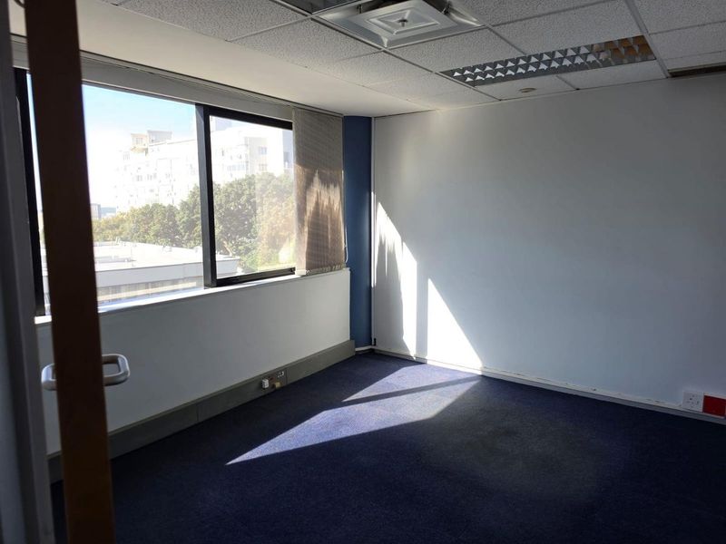 An empty commercial office space featuring a suspended ceiling, recessed lighting, large windows with natural light, and blue carpet flooring.