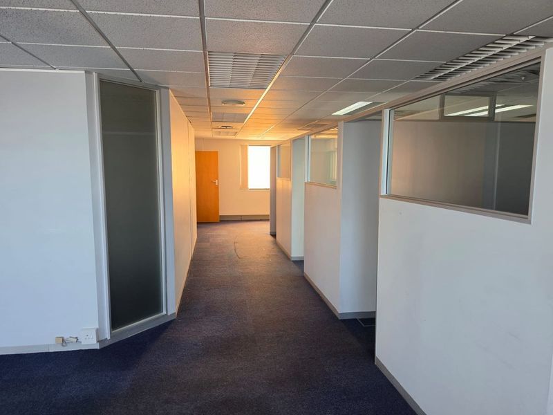 An empty commercial office hallway featuring suspended ceilings, glass partition walls, and blue carpet flooring, providing a clean and functional workspace layout.