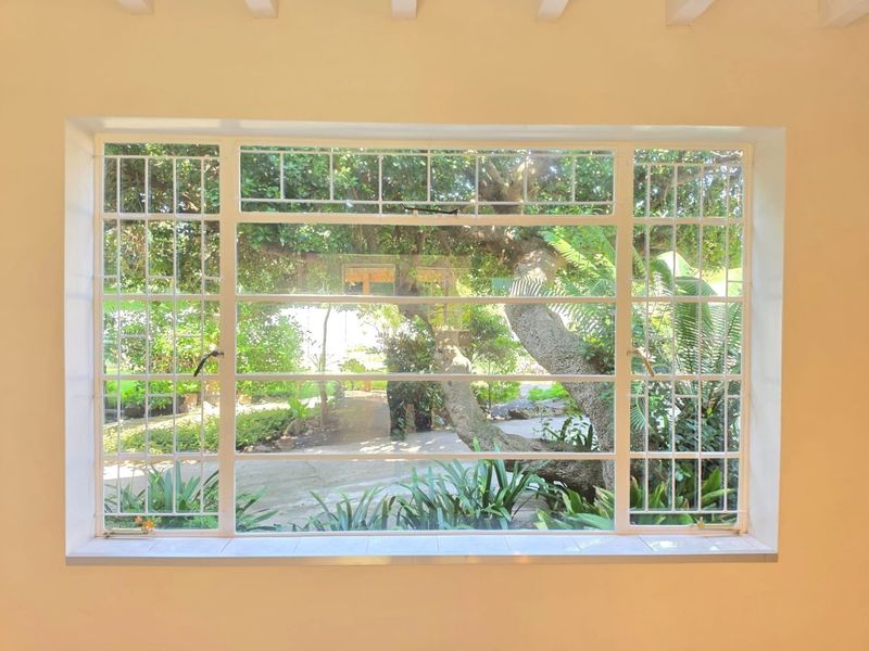 A view through a large steel-framed window looking out onto a lush, mature garden with established trees.