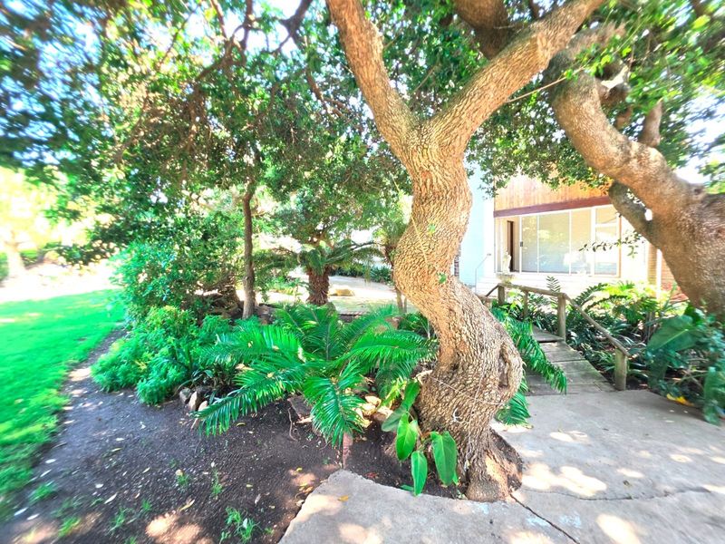 A lush, mature garden featuring established trees, landscaped greenery, and a small wooden bridge leading toward the property entrance.