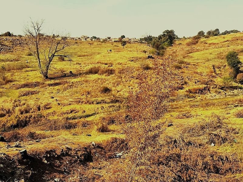 A wide-angle view of the vacant residential land, featuring natural dry vegetation and rolling terrain.