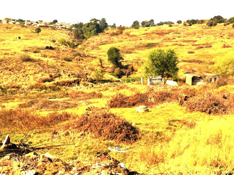 A view of a large, undeveloped residential plot featuring natural vegetation, uneven terrain, and a small, weathered concrete structure.
