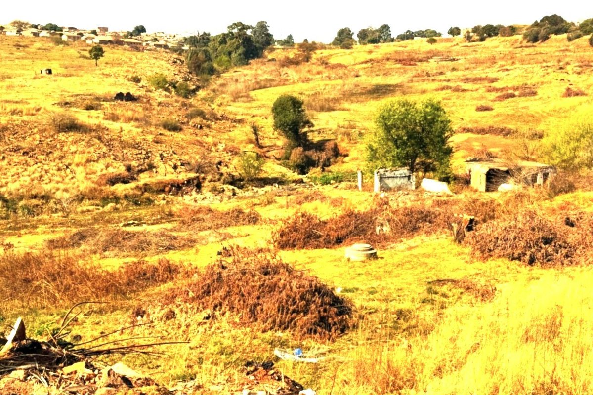A view of a large, undeveloped residential plot featuring natural vegetation, uneven terrain, and a small, weathered concrete structure.