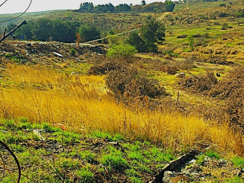 A wide-angle view of a sloped, undeveloped residential plot featuring natural vegetation and uneven terrain.